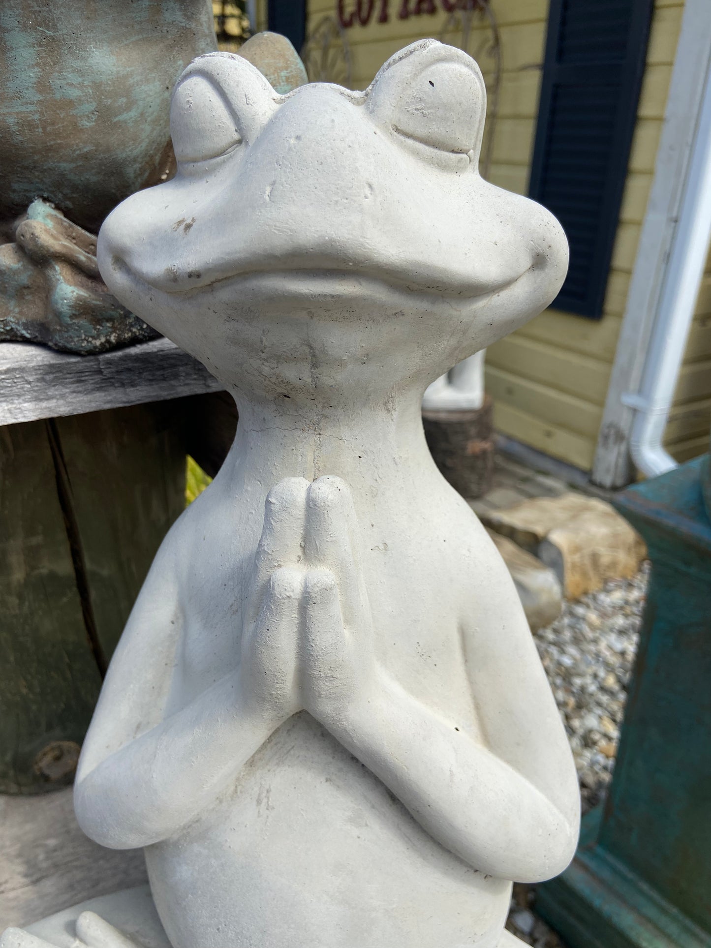Large Zen Frog