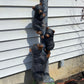 "Bearly" Climbing Statue