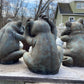 Frog: Speak No Evil