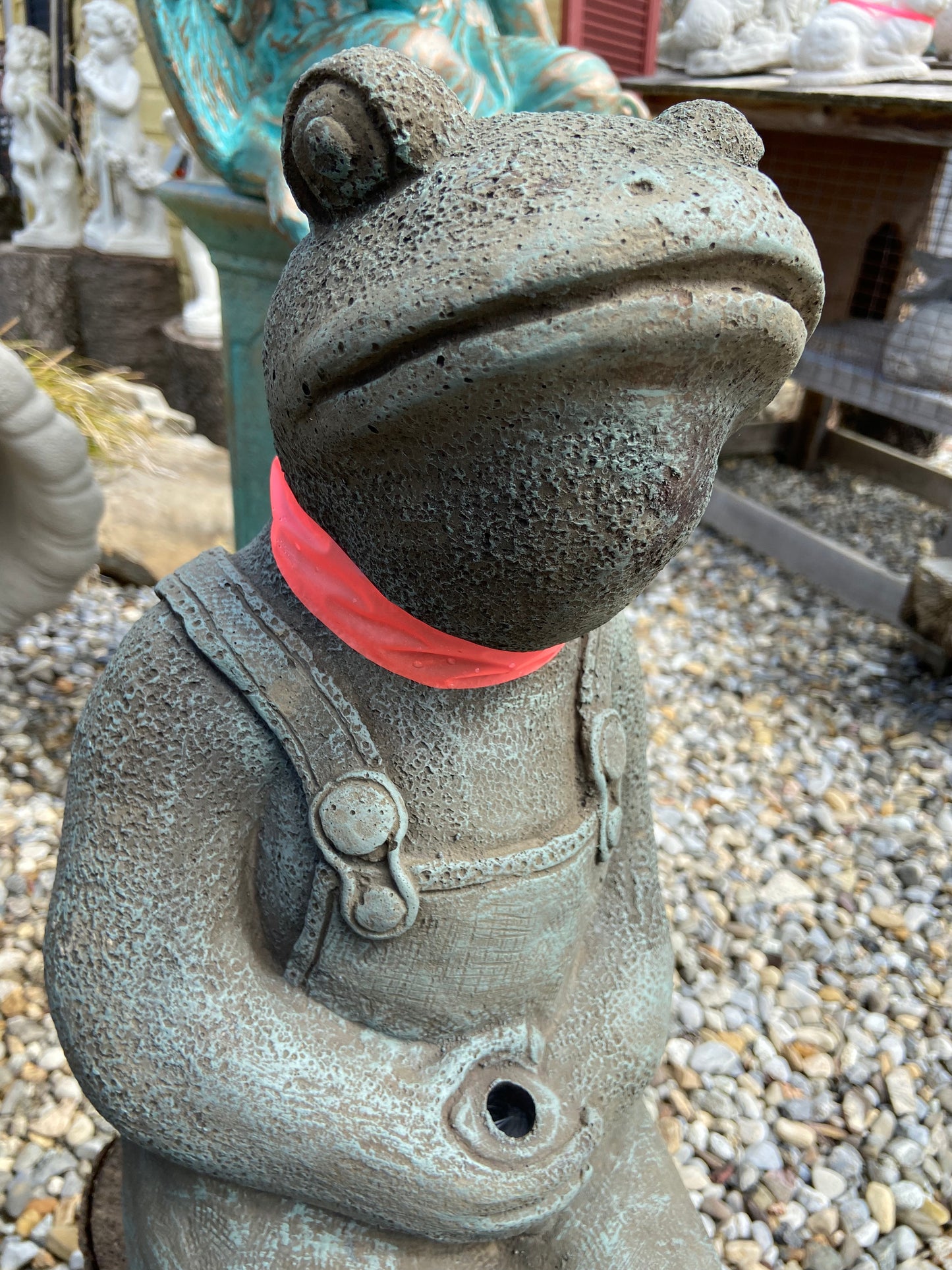 Fishing Frog