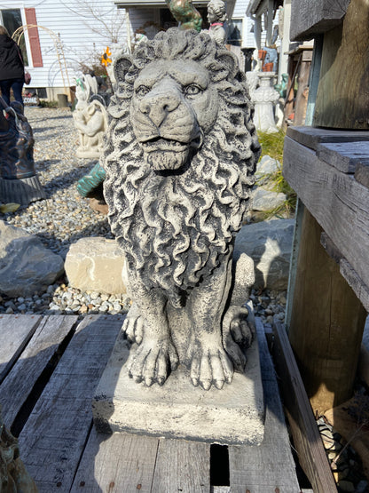 Sitting Lion