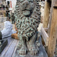 Sitting Lion