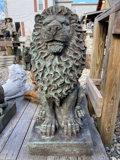 Sitting Lion