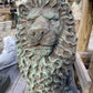 Sitting Lion
