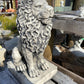 Sitting Lion