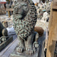 Sitting Lion
