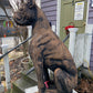 Boxer Dog Statue