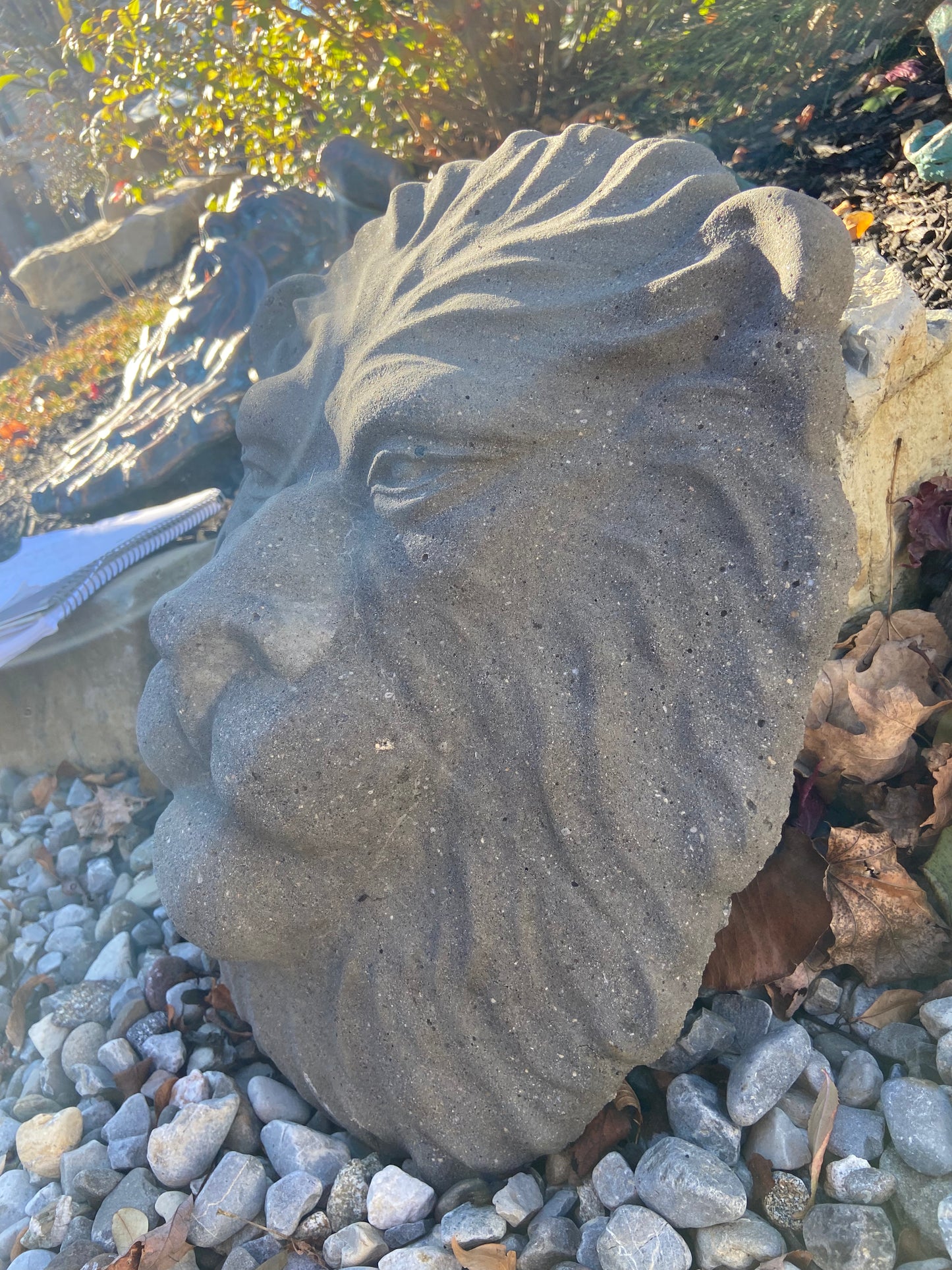 Lion Face
