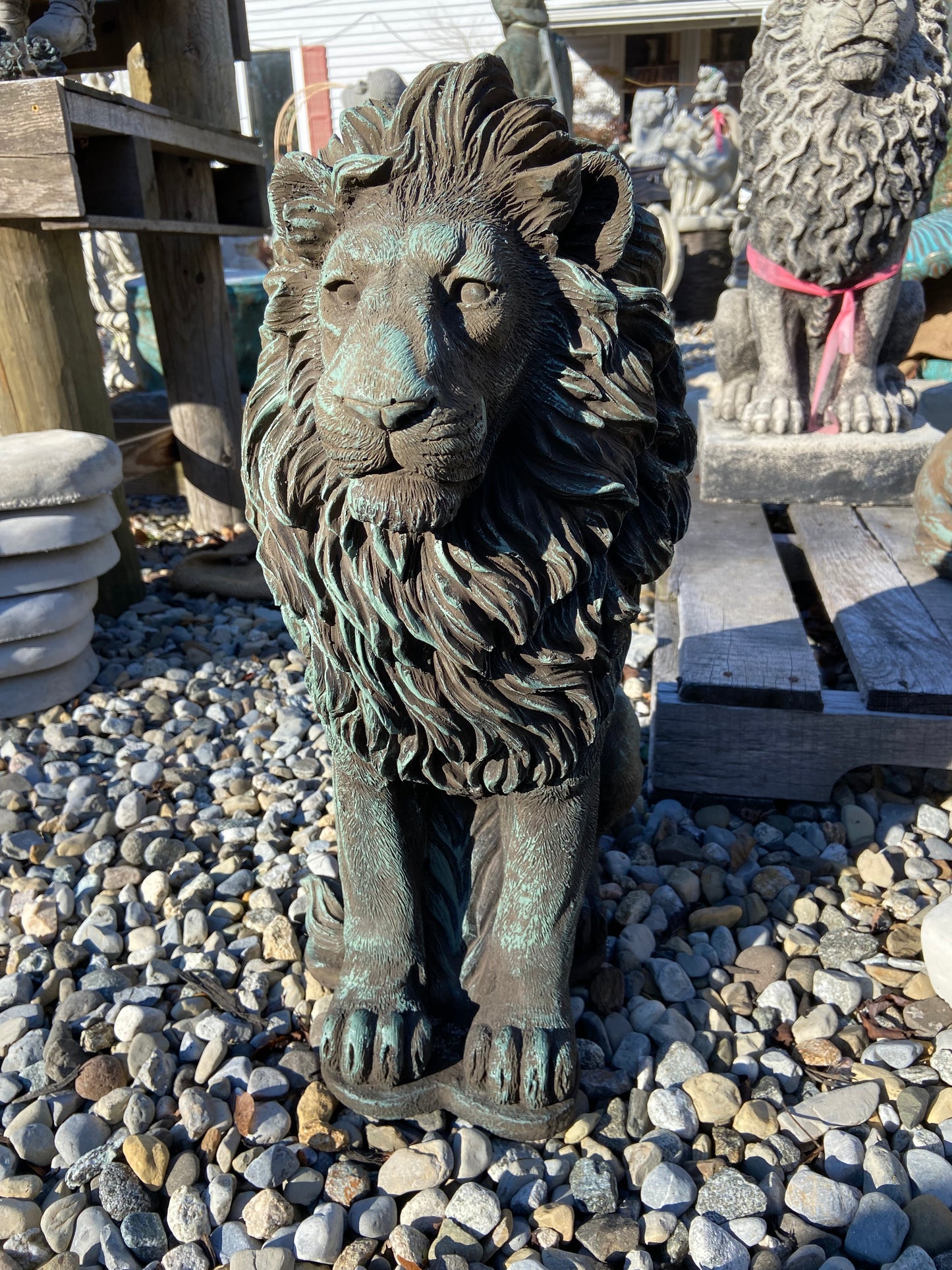 Gatekeeper Lion