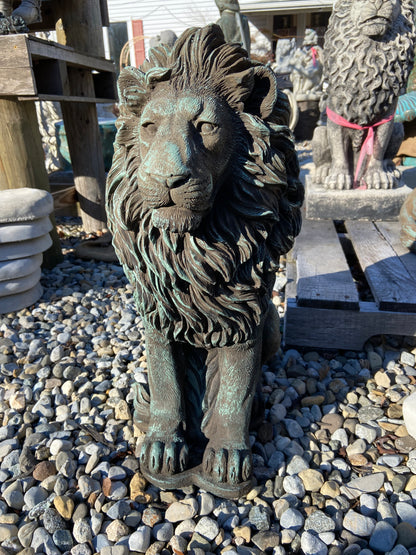 Gatekeeper Lion
