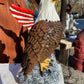 Sitting Eagle