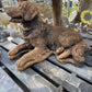 Lying Retriever