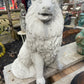 Collie