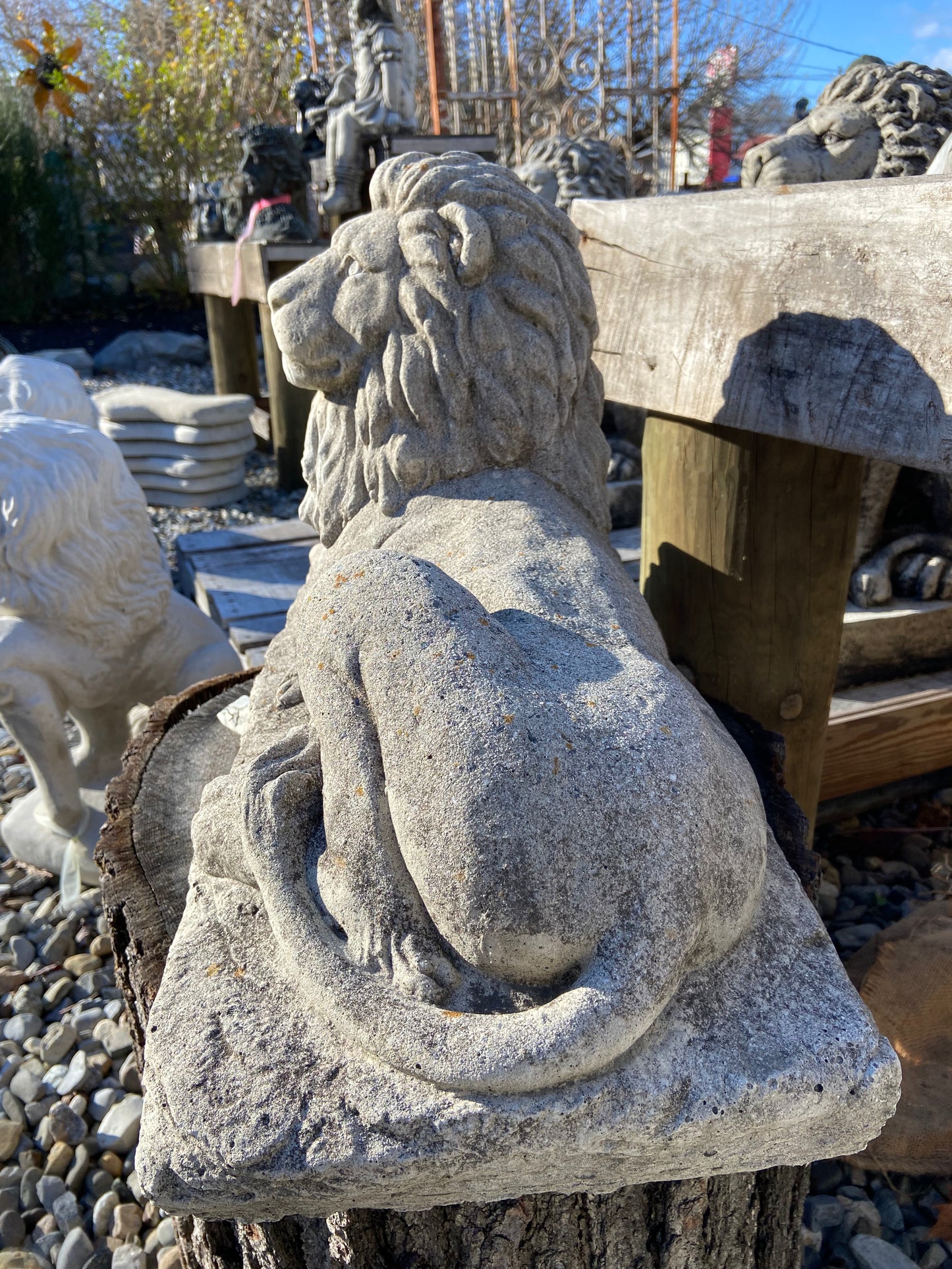 Laying Lion (right)