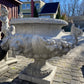 Lion Rose Planter