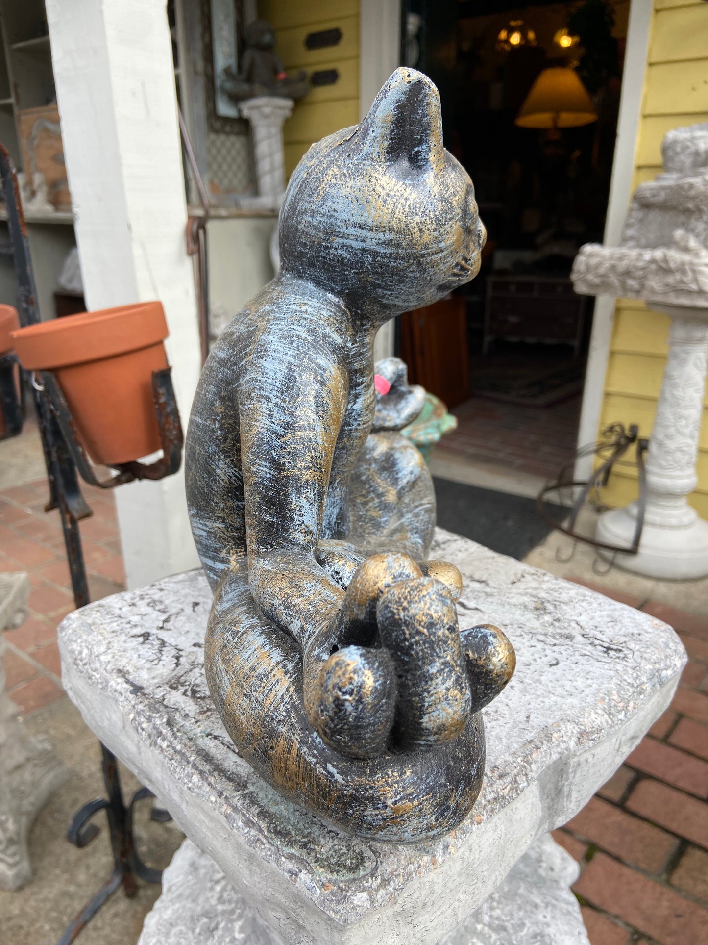Zen Cat