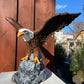 Spread Winged Eagle