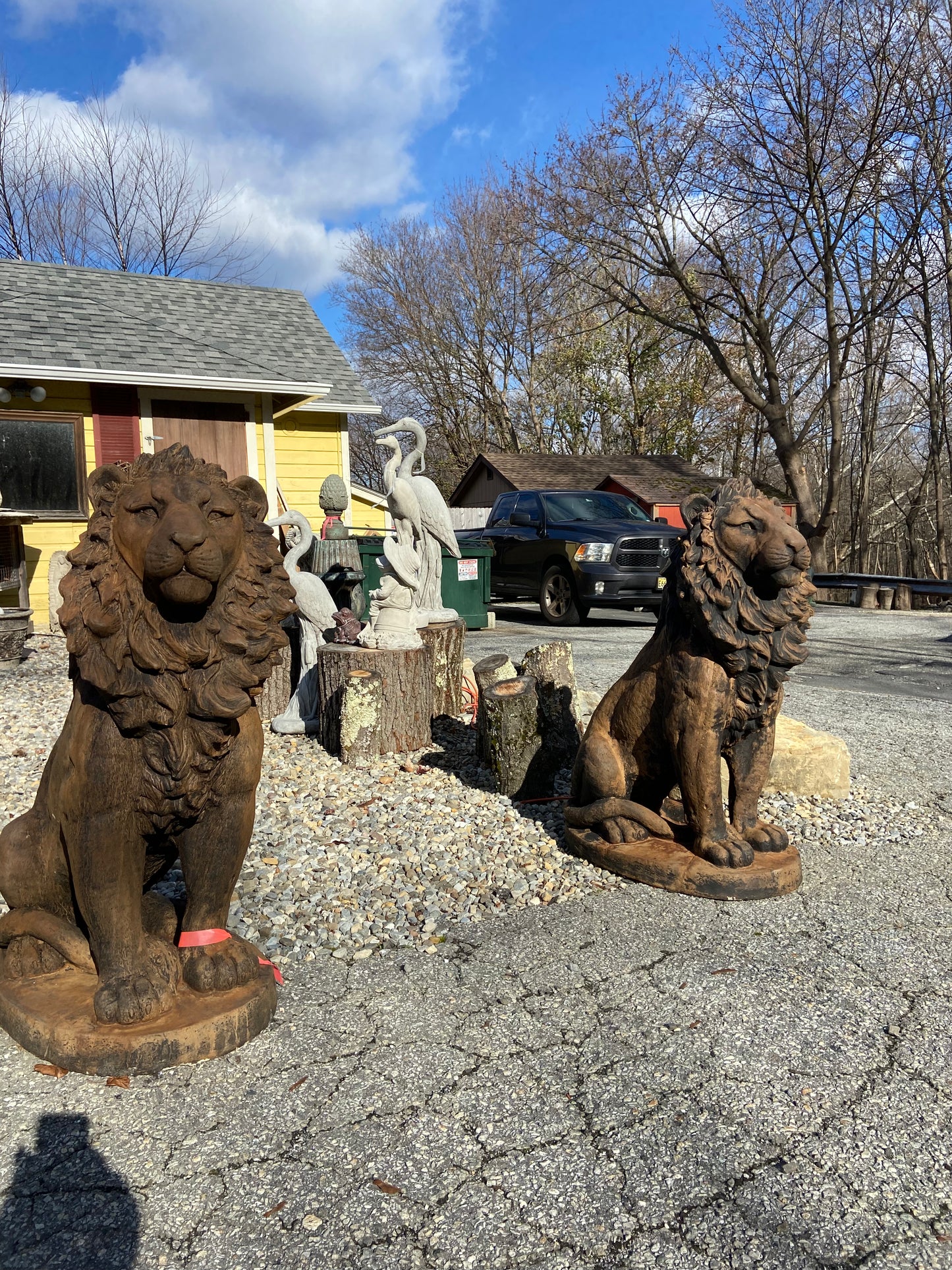 Estate Lion