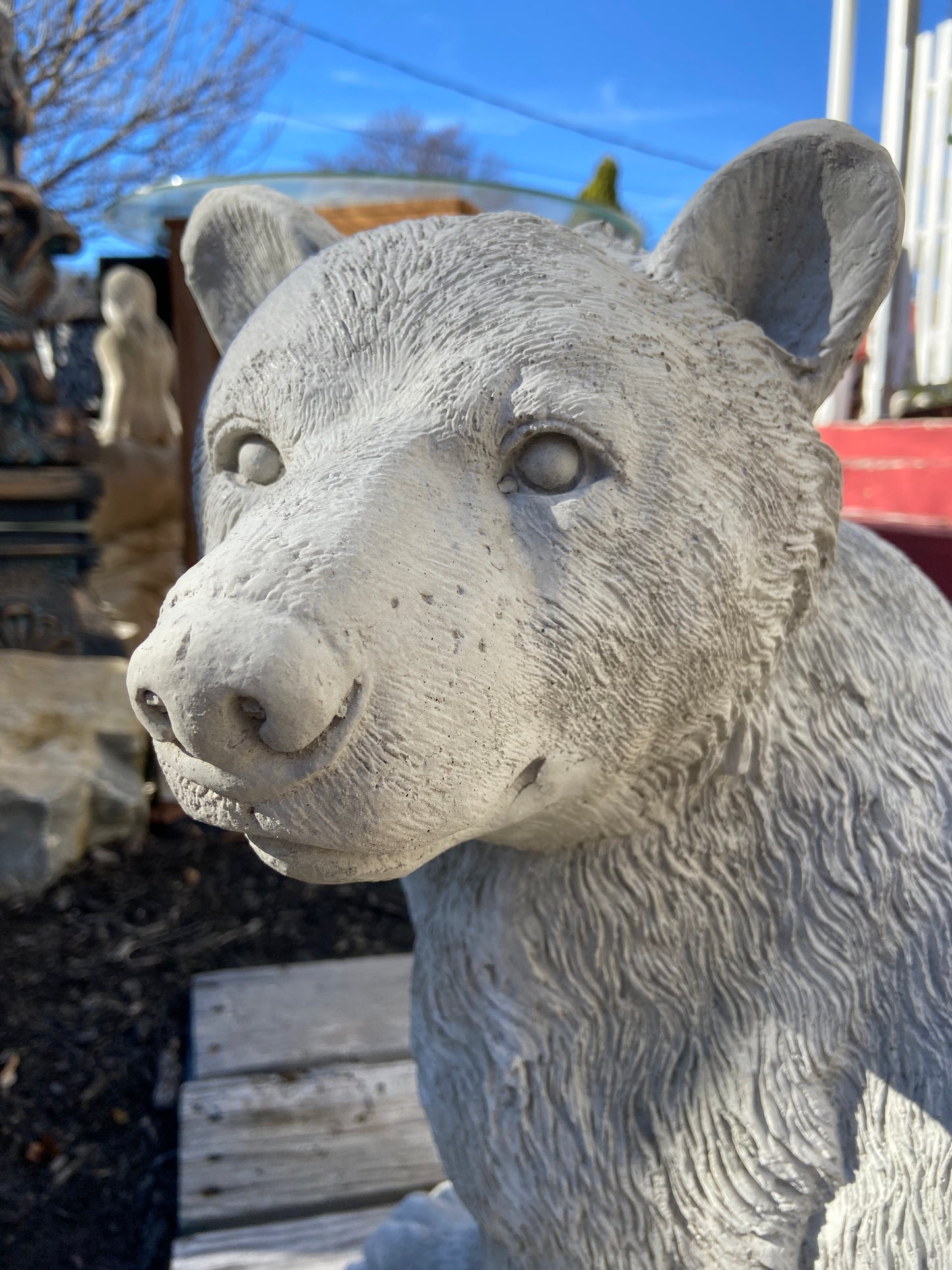 Sitting Bear