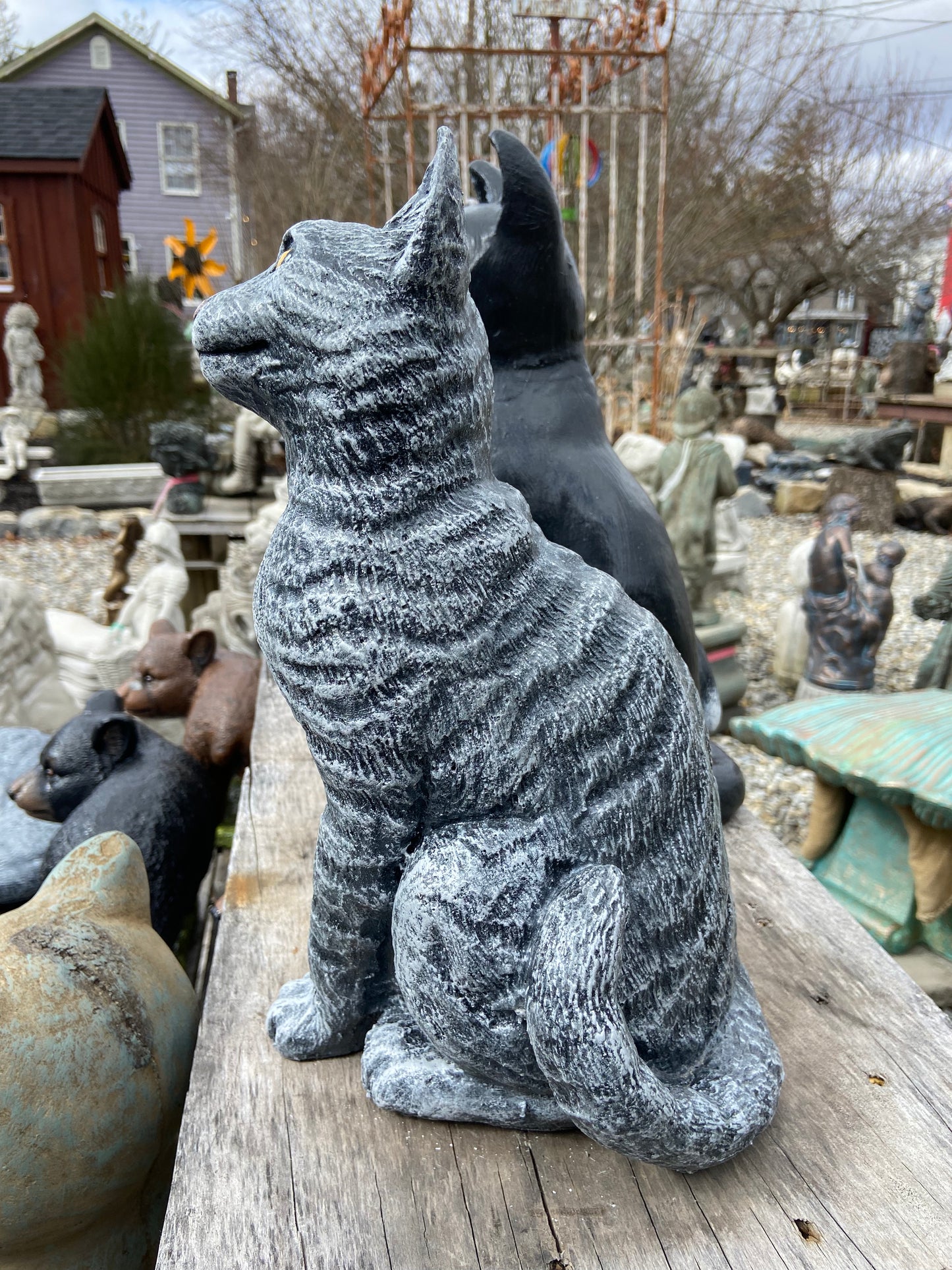 Cat Sitting