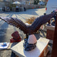 Spread Winged Eagle