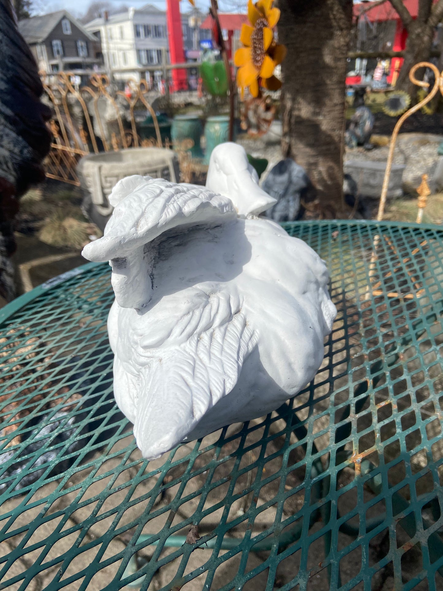 Elegant Duck