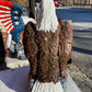 Sitting Eagle