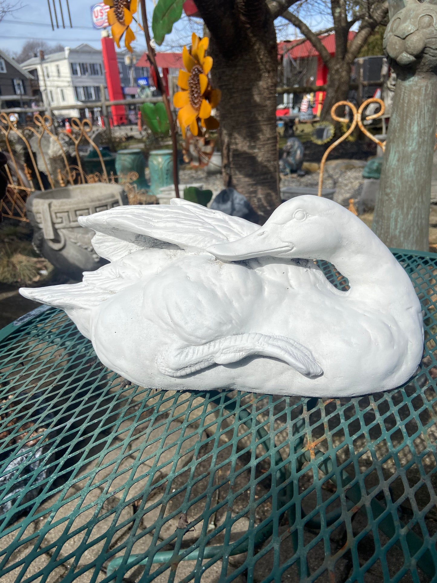 Elegant Duck
