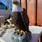Sitting Eagle