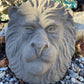 Lion Face