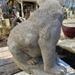 Sitting Bear