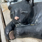 Laying Cat