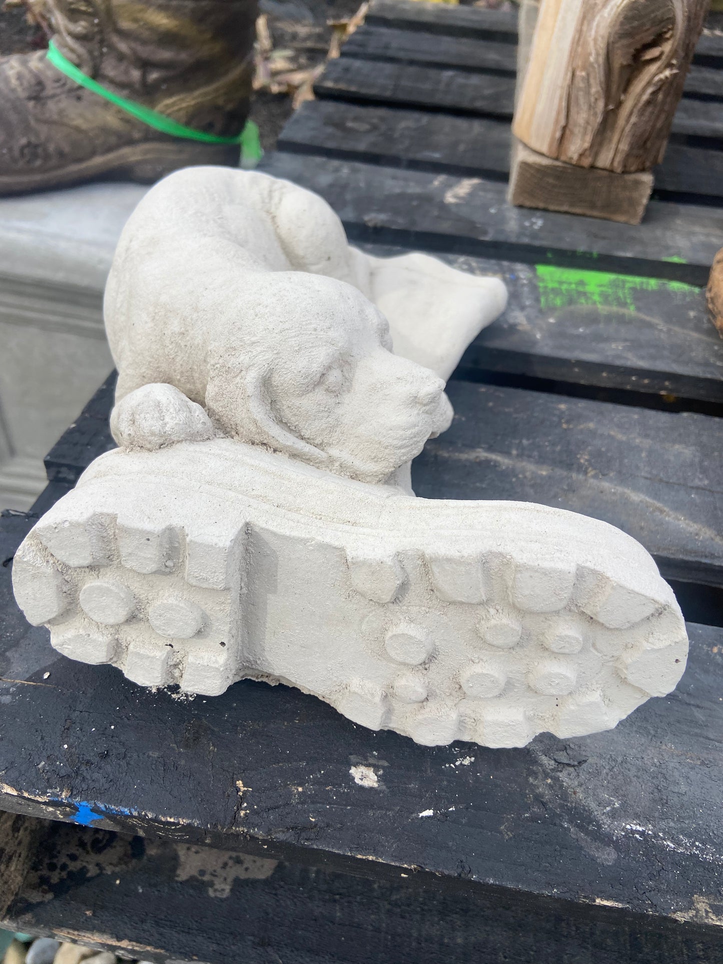 Dog on Boot