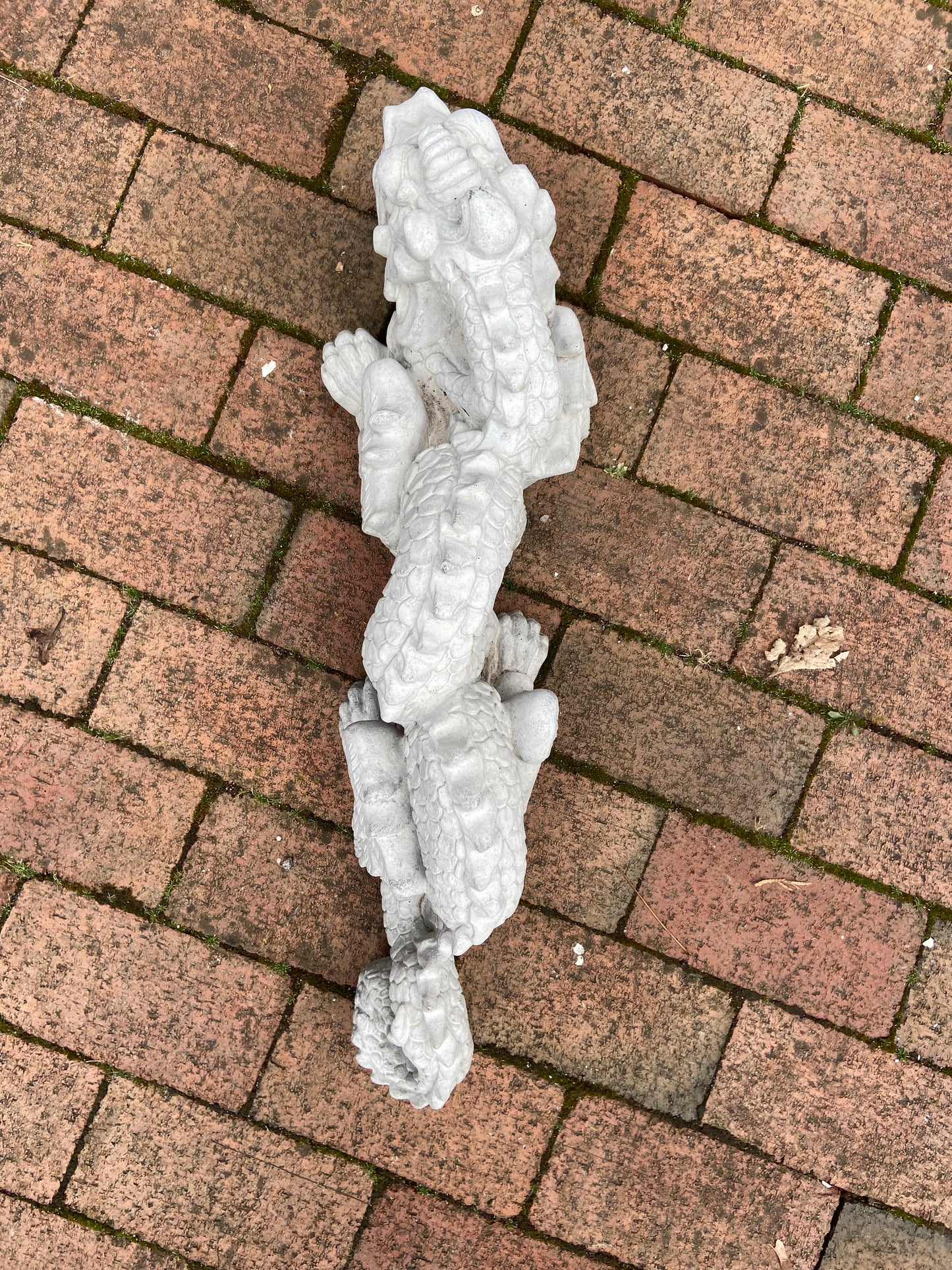 Medium Dragon