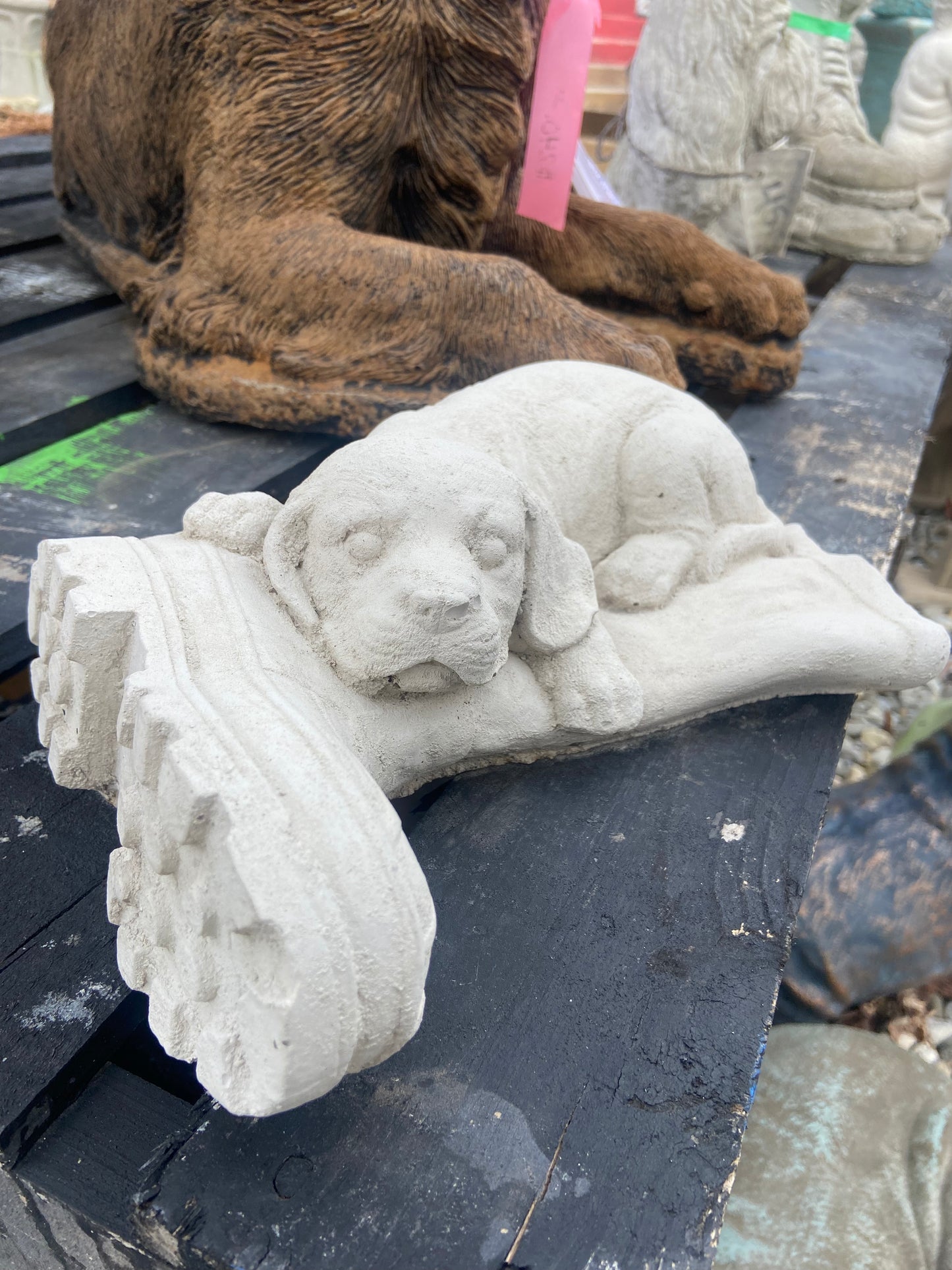 Dog on Boot