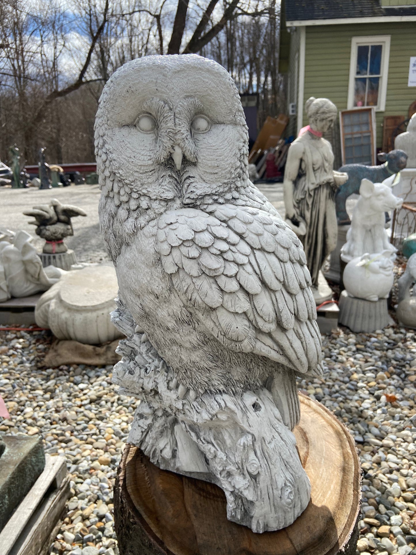 Large Owl
