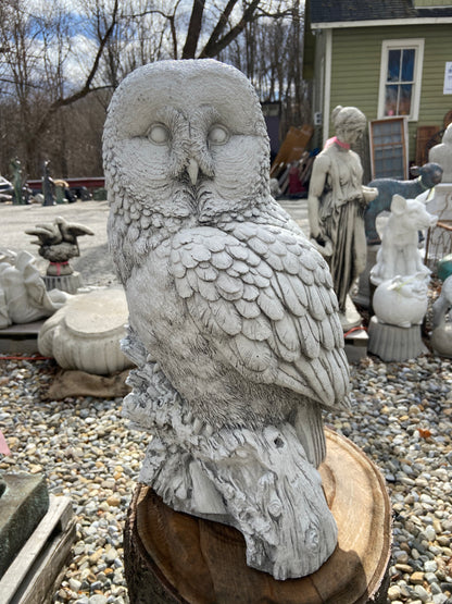 Large Owl