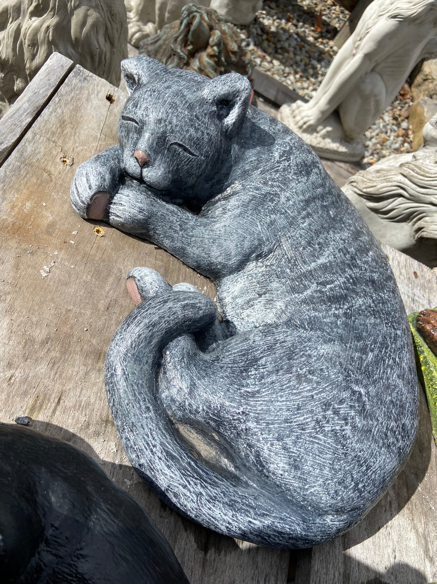 Laying Cat