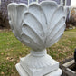 Cabbage Pot
