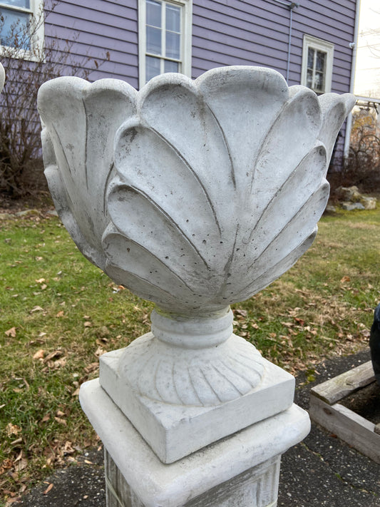 Cabbage Pot