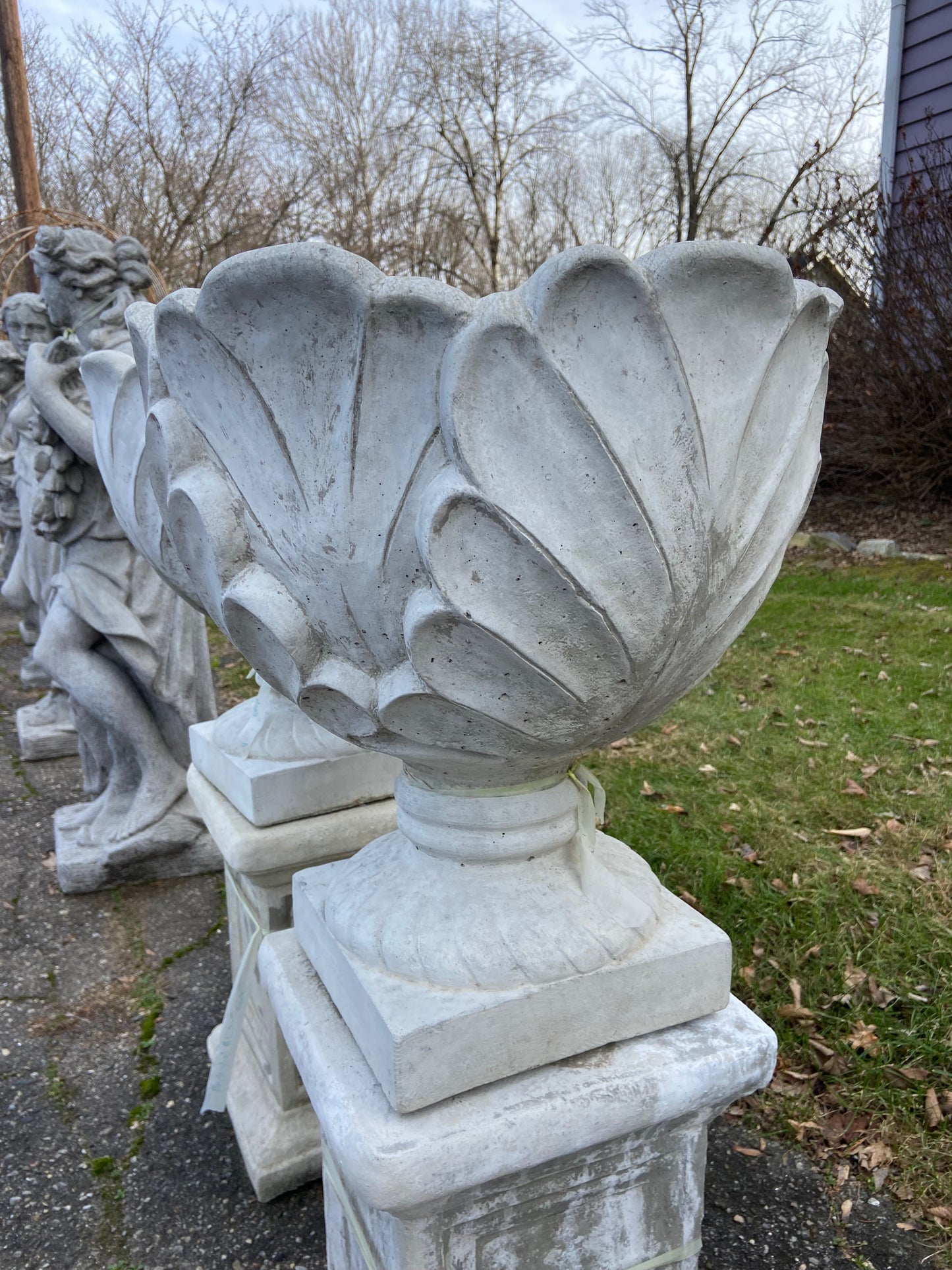 Cabbage Pot