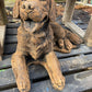 Lying Retriever