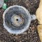 Turtle Planter