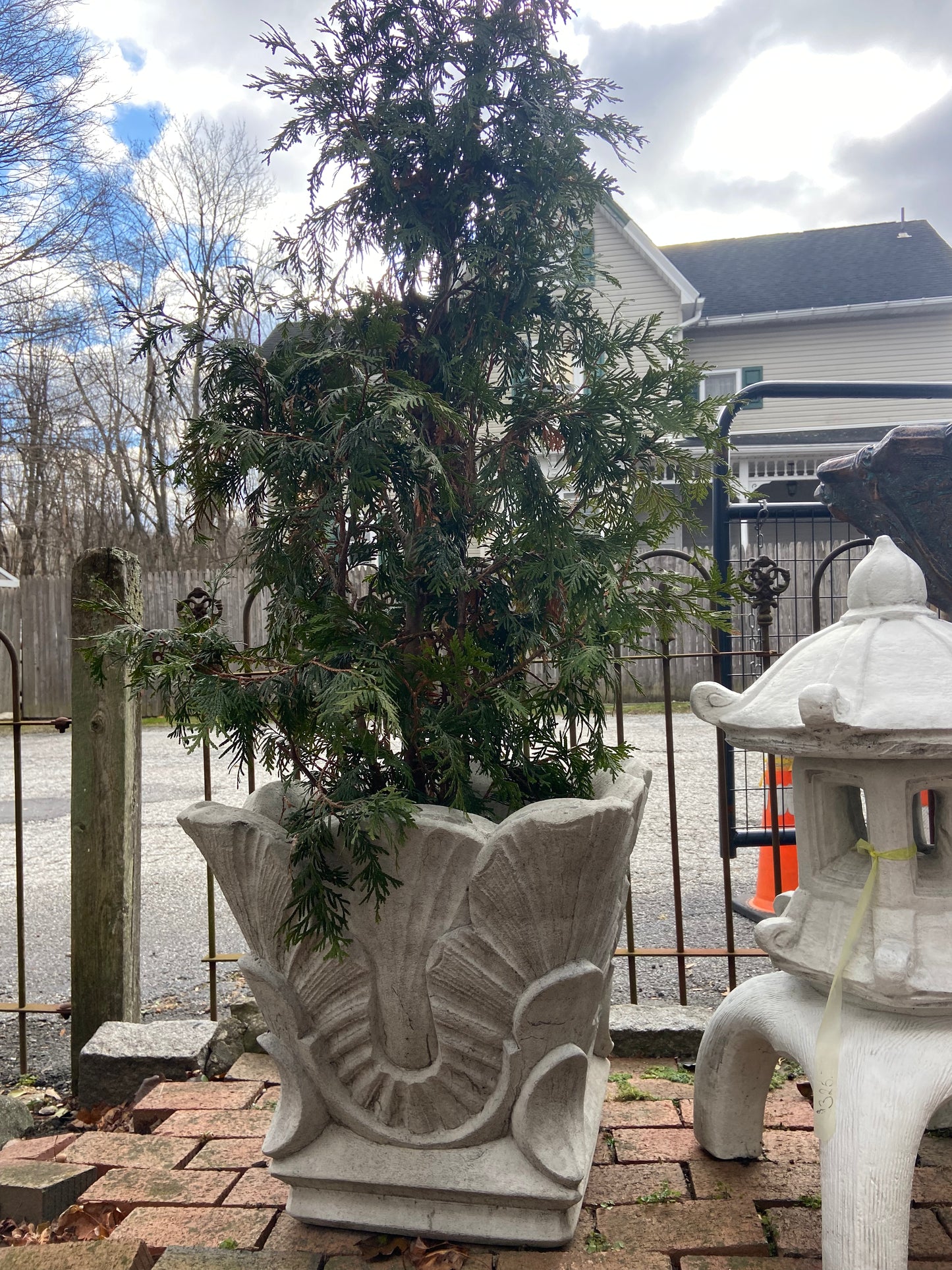 Barcelona Pot
