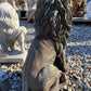 Gatekeeper Lion