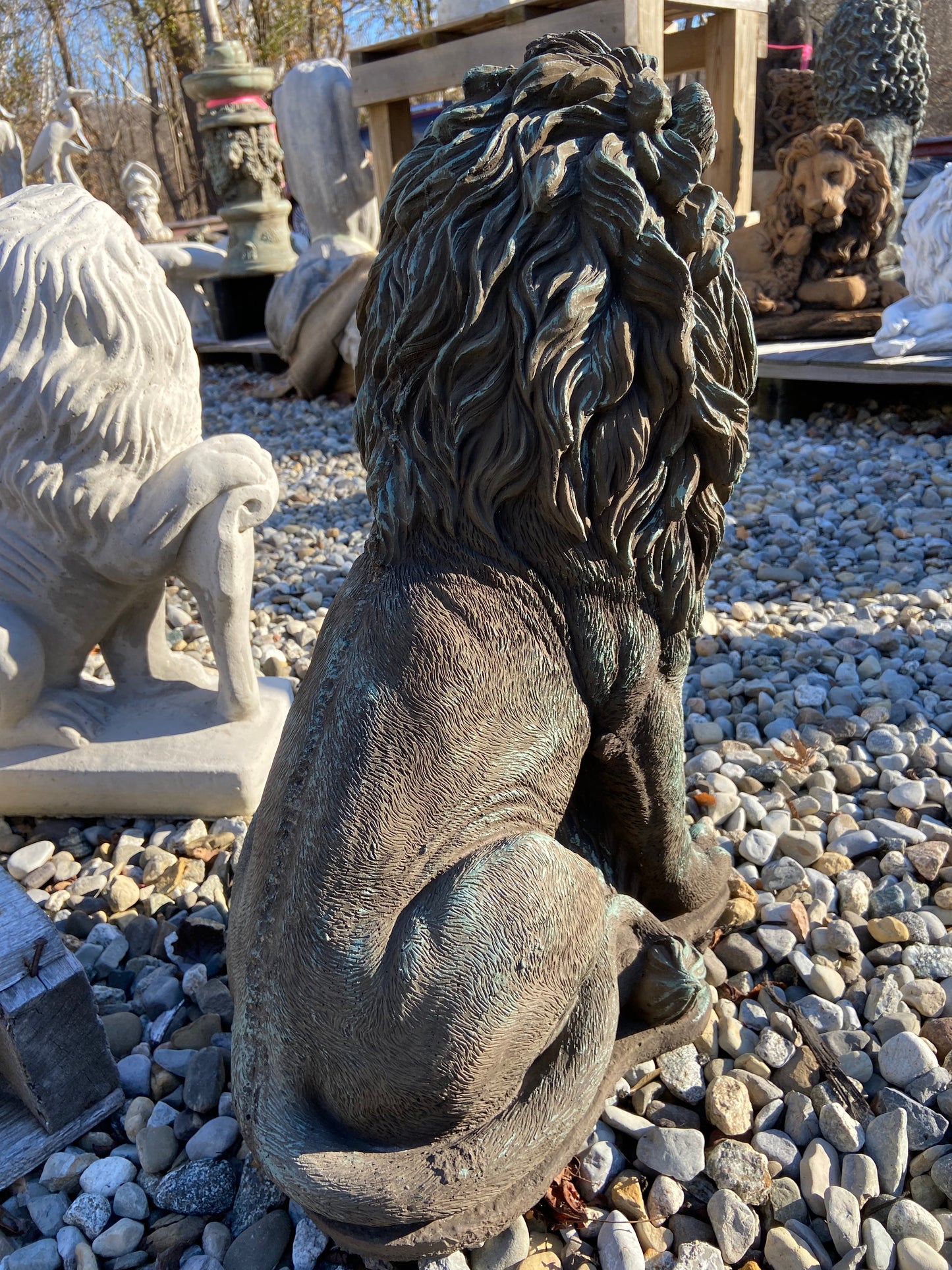 Gatekeeper Lion