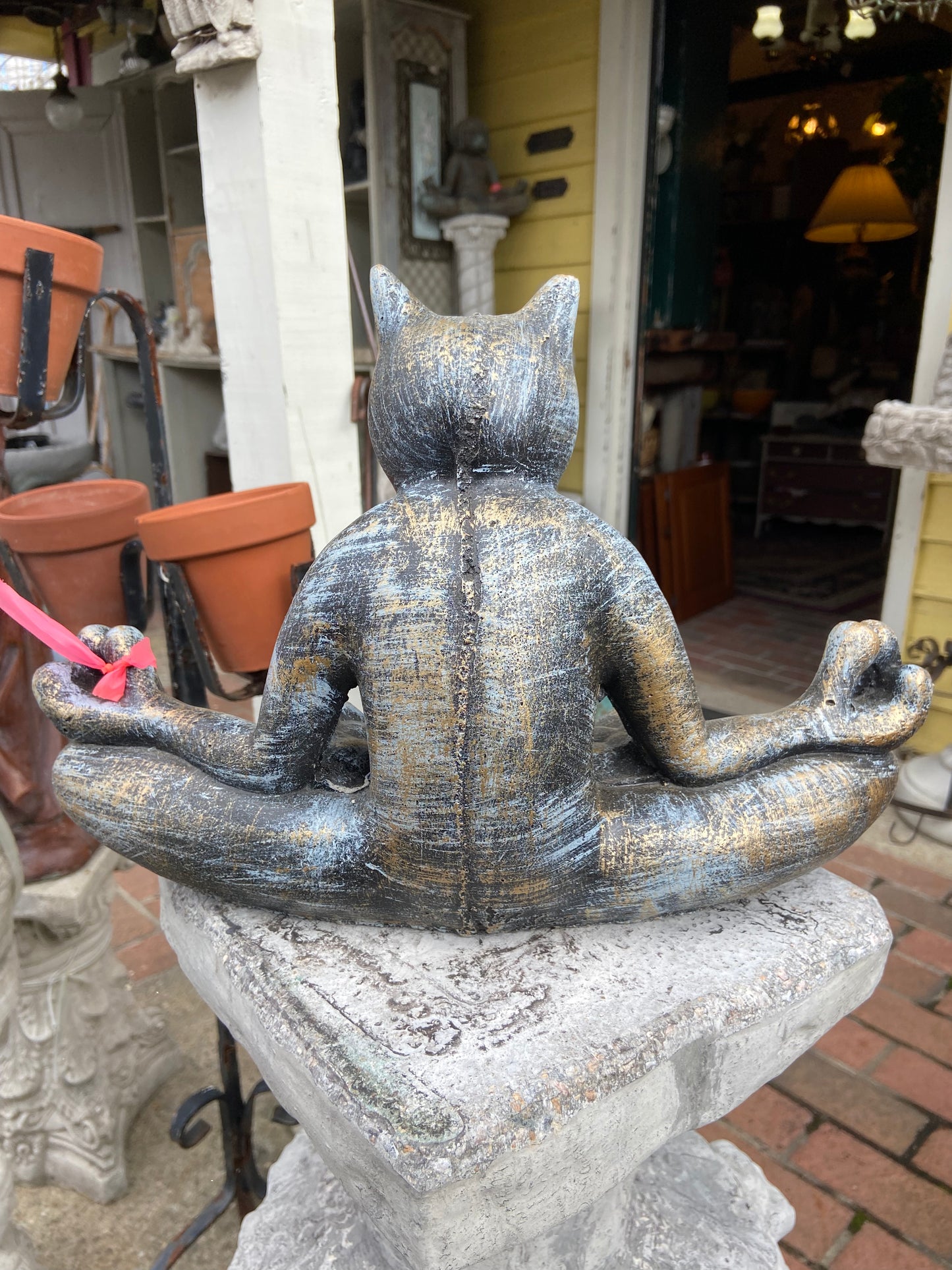 Zen Cat