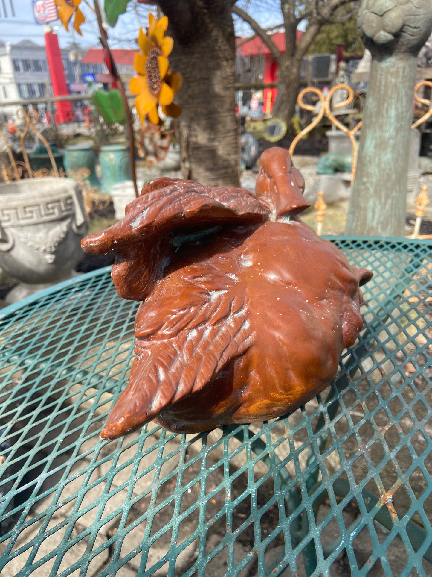 Elegant Duck