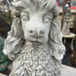 Poodle