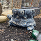 Turtle Planter
